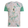 Maillot avant match Algérie gris vert
