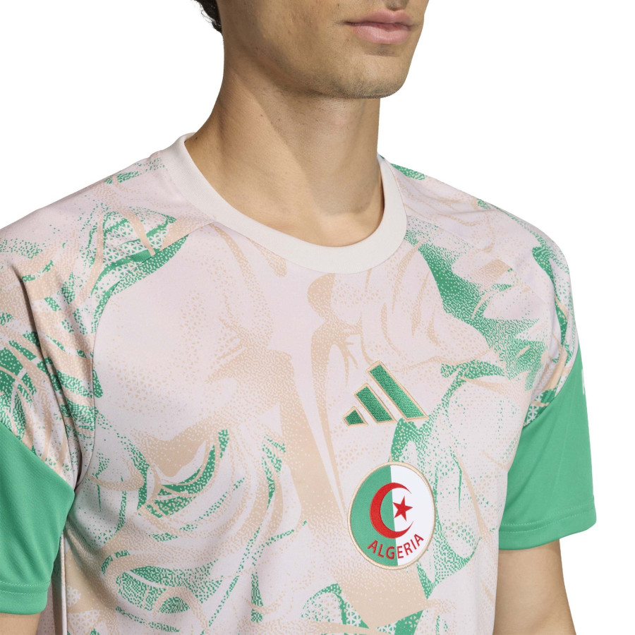 Maillot avant match Algérie gris vert