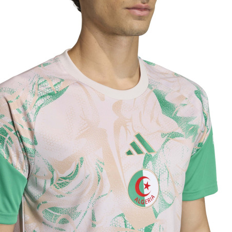 Maillot avant match Algérie gris vert