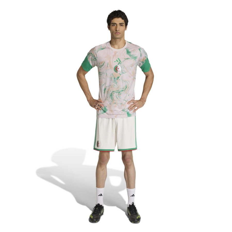 Maillot avant match Algérie gris vert