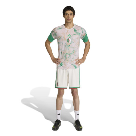 Maillot avant match Algérie gris vert