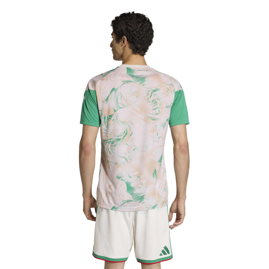 Maillot avant match Algérie gris vert