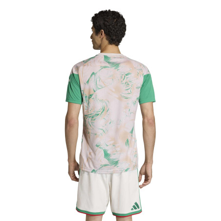 Maillot avant match Algérie gris vert
