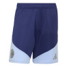 Short entraînement Ajax Amsterdam bleu