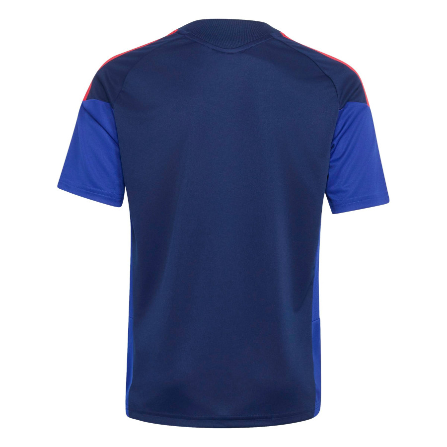Maillot entraînement junior OL bleu