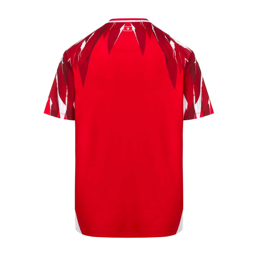 Maillot Tunisie extérieur 2026