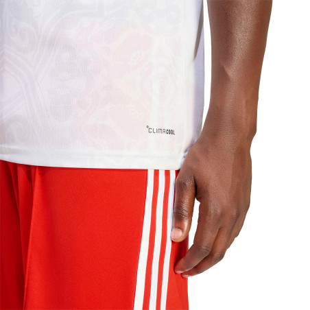 Maillot Benfica extérieur 2026/27