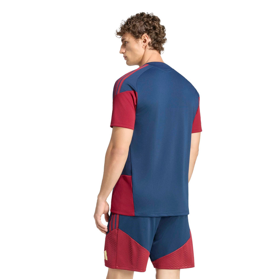 Maillot entraînement Arsenal bleu rouge