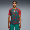 Maillot entraînement Portugal rouge vert