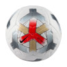 Ballon Nike Academy Plus blanc gris