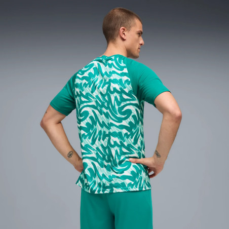 Maillot avant match Portugal vert