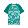 Maillot avant match Portugal vert