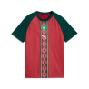 Maillot avant match Junior Maroc rouge vert