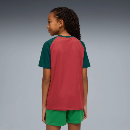 Maillot avant match Junior Maroc rouge vert
