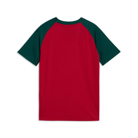 Maillot avant match Junior Maroc rouge vert