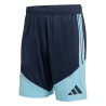 Short entraînement Argentine bleu