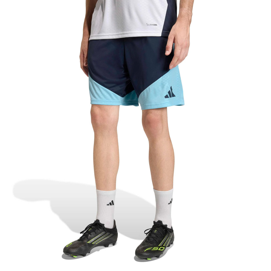 Short entraînement Argentine bleu