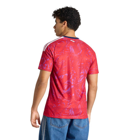 Maillot Costa Rica domicile 2026