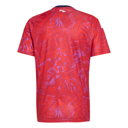 Maillot Costa Rica domicile 2026