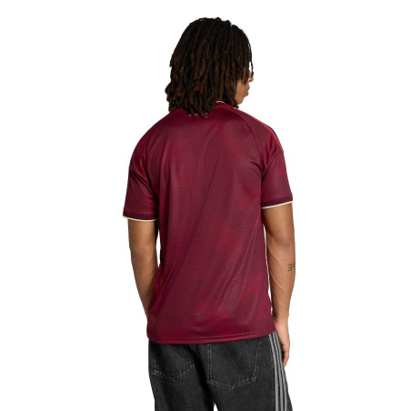 Maillot Venezuela domicile 2026