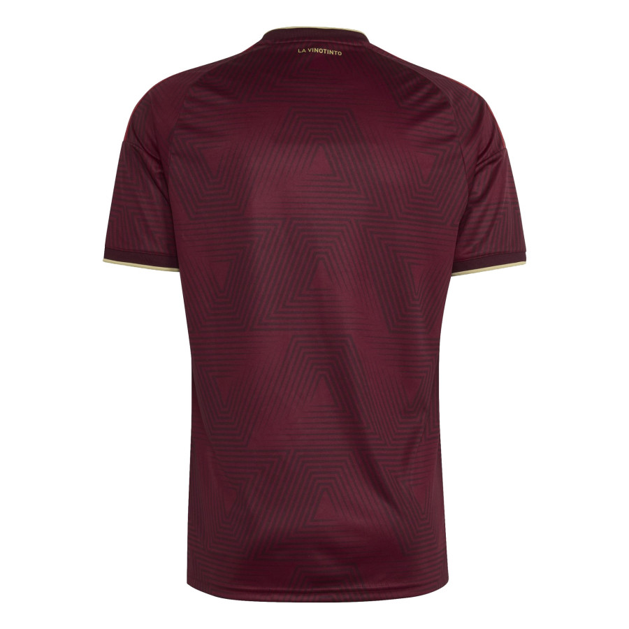 Maillot Venezuela domicile 2026