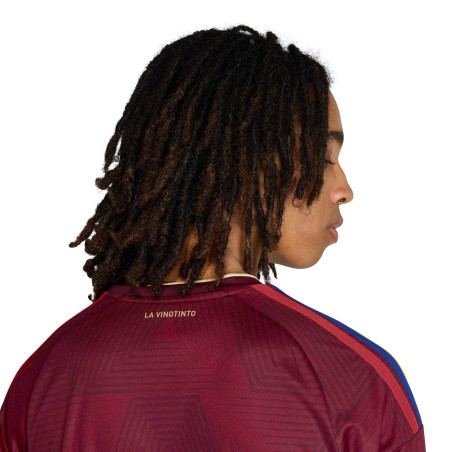 Maillot Venezuela domicile 2026