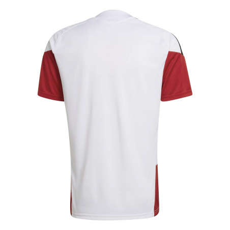 Maillot entraînement Allemagne blanc rouge