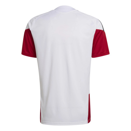 Maillot entraînement Allemagne blanc rouge