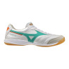 Mizuno Morelia Sala Elite Indoor blanc vert