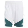 Short entraînement Real Madrid blanc vert