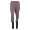 Pantalon survêtement Bayern Munich violet rouge