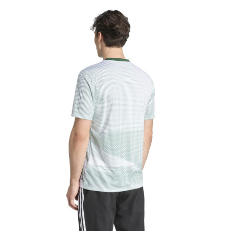 Maillot avant match Mexique vert