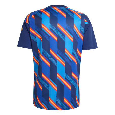 Maillot avant match Espagne bleu