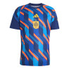 Maillot avant match Espagne bleu