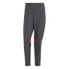 Pantalon survêtement River Plate gris rouge
