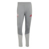 Pantalon survêtement Liverpool gris
