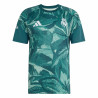 Maillot avant match Real Madrid vert