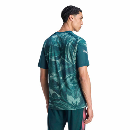 Maillot avant match Real Madrid vert