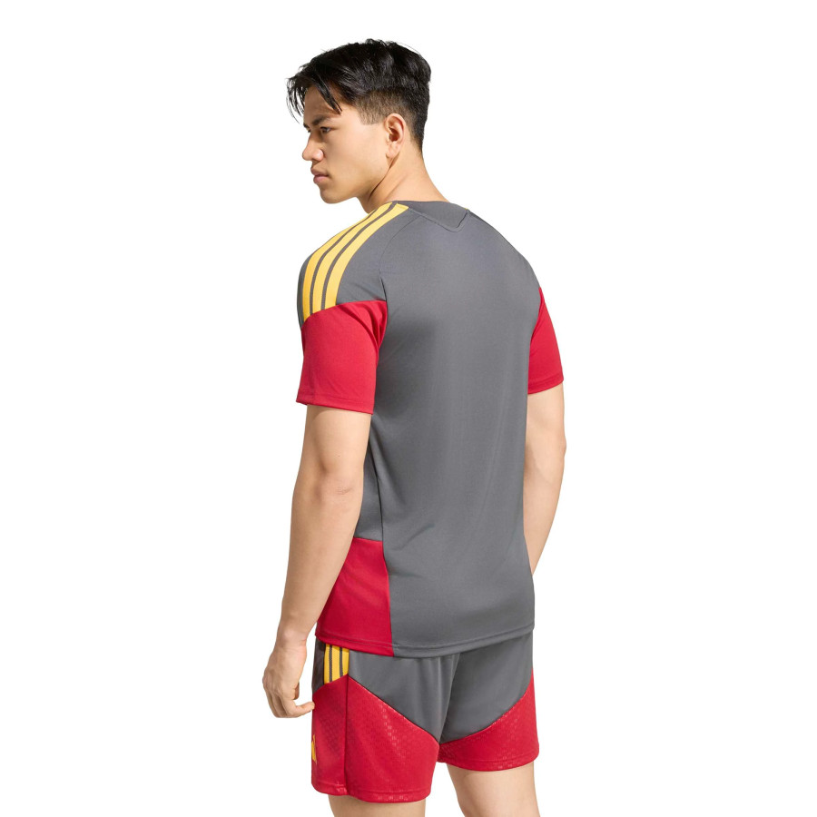 Maillot entraînement AS Roma gris