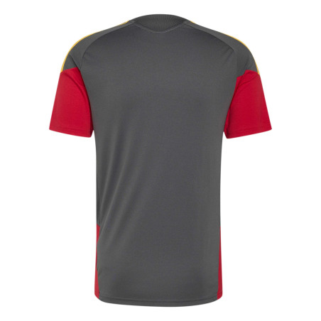 Maillot entraînement AS Roma gris