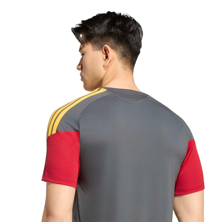 Maillot entraînement AS Roma gris