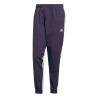 Pantalon survêtement Bayern Munich violet