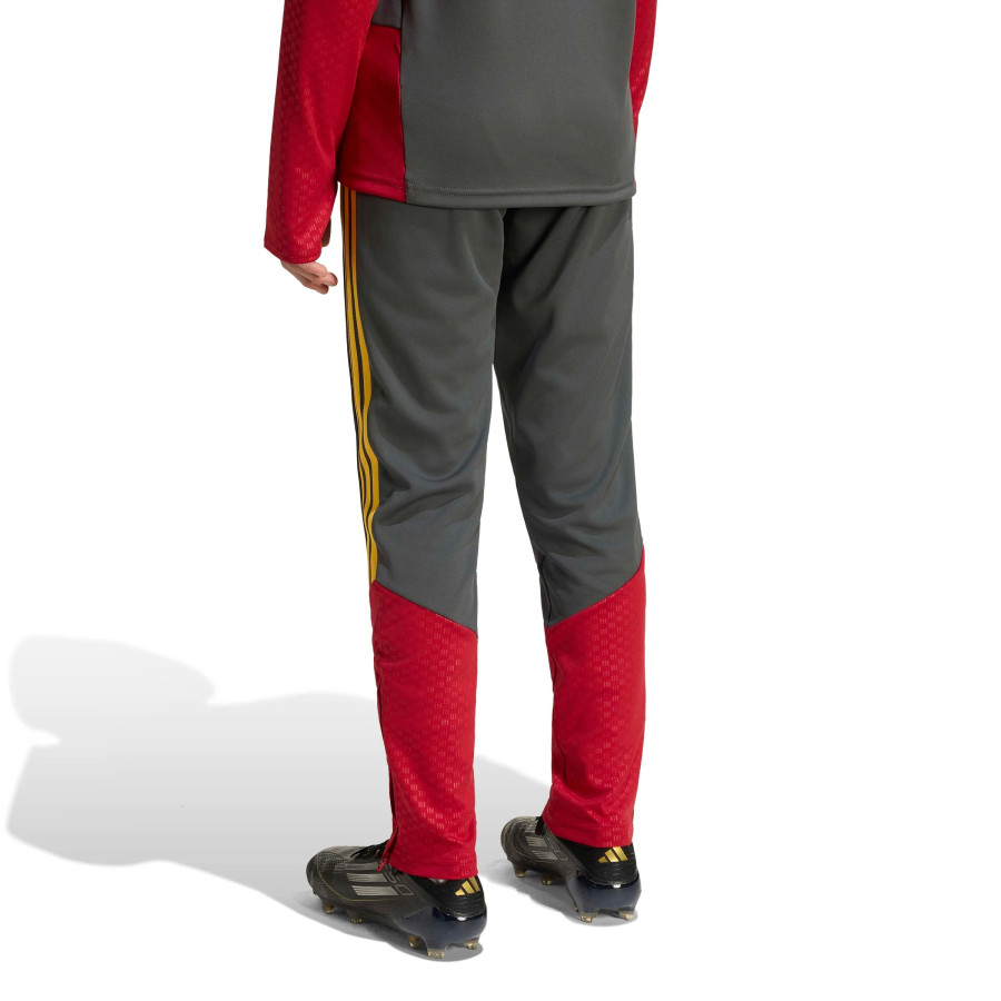 Pantalon survêtement junior AS Roma gris