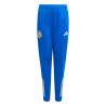Pantalon survêtement junior Real Madrid bleu
