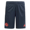 Short entraînement junior Bayern Munich gris