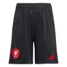Short junior Liverpool extérieur 2025/26