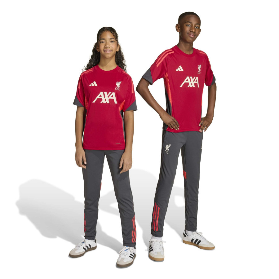 Pantalon survêtement junior Liverpool gris