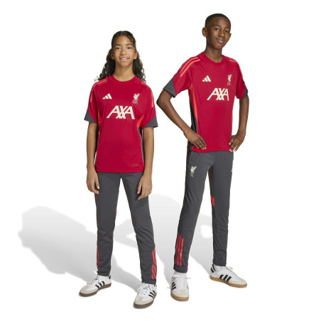 Pantalon survêtement junior Liverpool gris