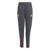 Pantalon survêtement junior Liverpool gris