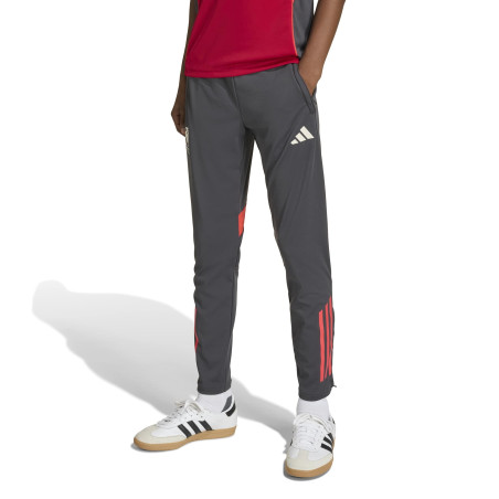 Pantalon survêtement junior Liverpool gris